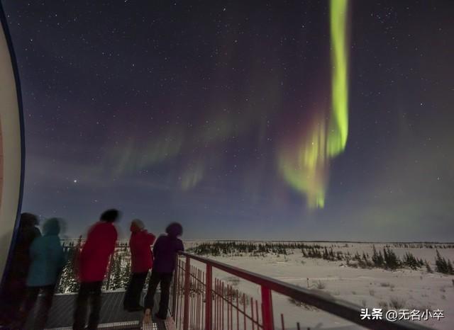 为啥这么多老年人明知跟团会挨宰，也不选择自由行，原因令人心酸