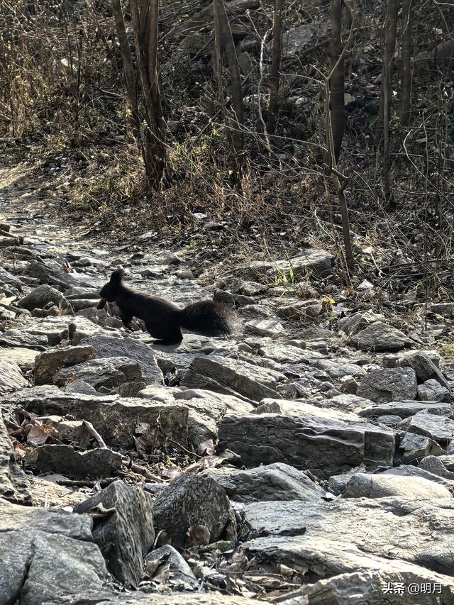 马蹄峪、白云泉、扁石山、雪山徒步小环线