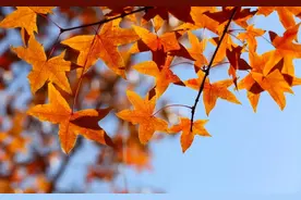 人到晚年要牢记，父母和儿女，并不是“一家人”图片