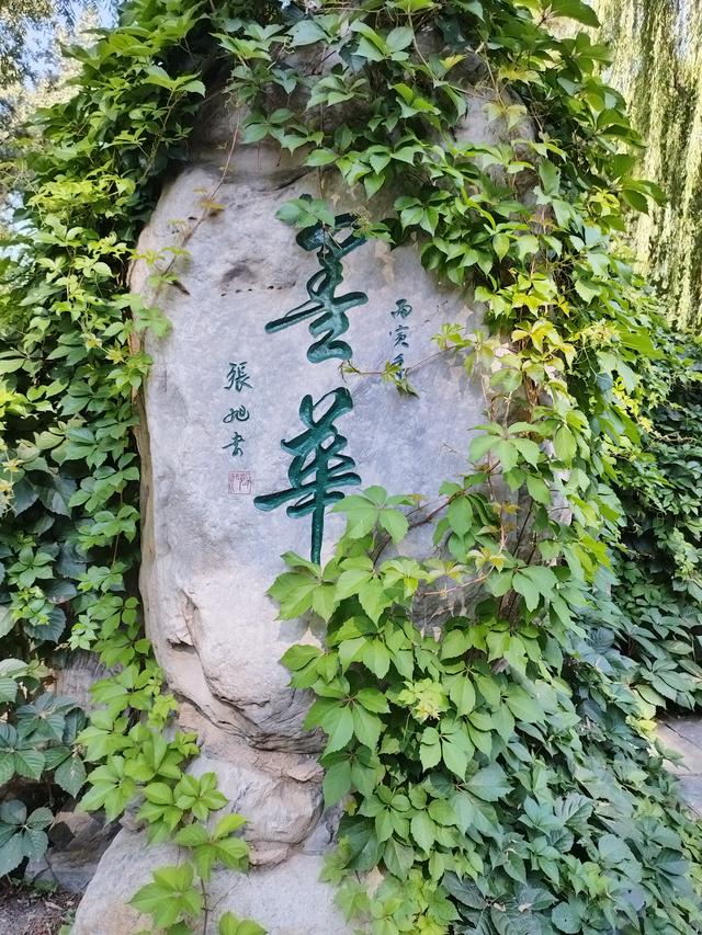 躲不过的心事，操碎了的心