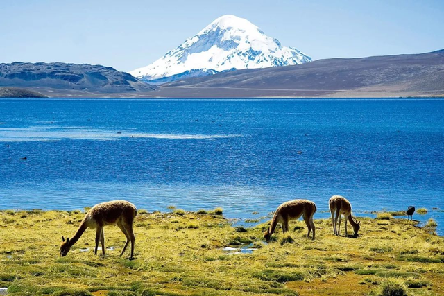 南美玻利维亚出行记