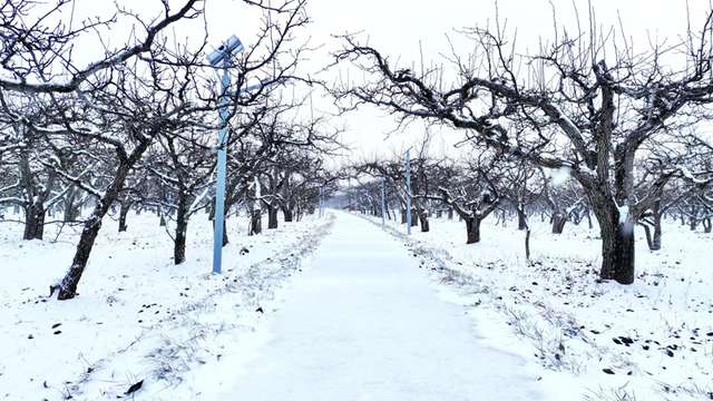 寻味“牛县”阳信的N种风雅