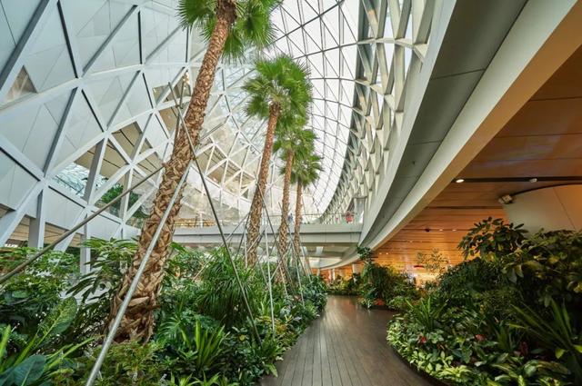 世界综合体建筑 | 新加坡星耀樟宜，令人一眼沦陷的视觉盛宴