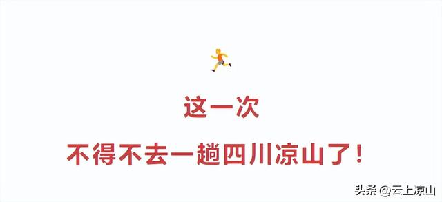 根本停不下来！凉山彝族火把节还有这些活动邀你参加