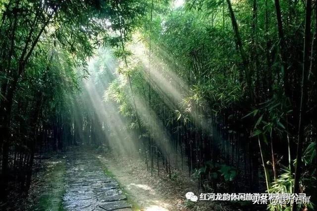 庆中秋·迎国庆｜龙韵帐篷民族歌舞集，邀你共赴一场山水间的盛会