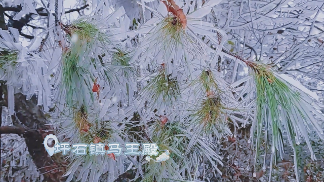 朋友圈C位预告！韶关雾凇限时上线，这片赏冰秘境地图等你来打卡