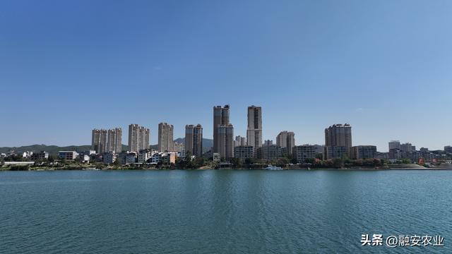 广西融安：冬日融江生态美