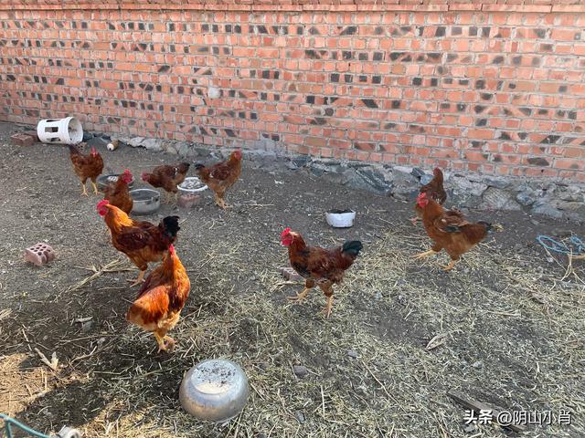 走访合教黑教堂抗日兵变旧址