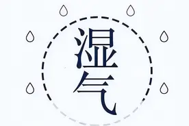 参苓白术、六君子？都比不上这个天然的湿气克星！学会轻松祛湿图片