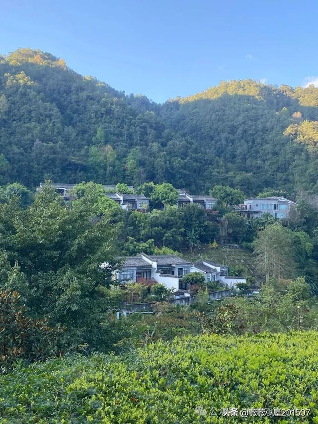 腾冲秘境：火山沉寂，绽放的地质与自然之美