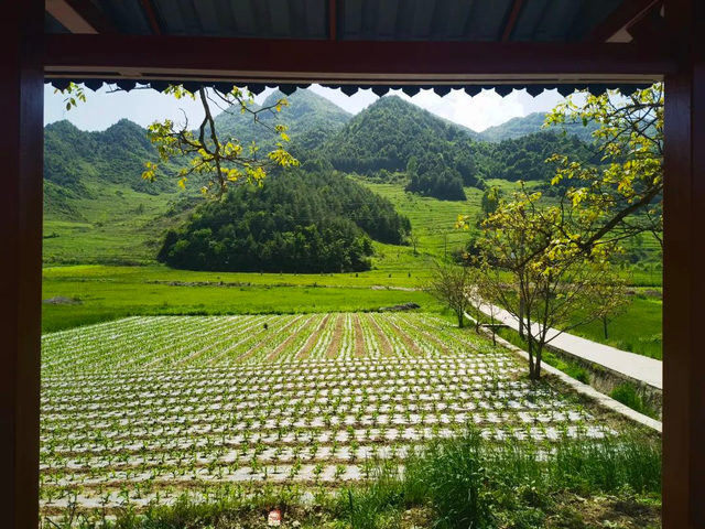 武都：快躲进黄坪25℃的清凉秘境