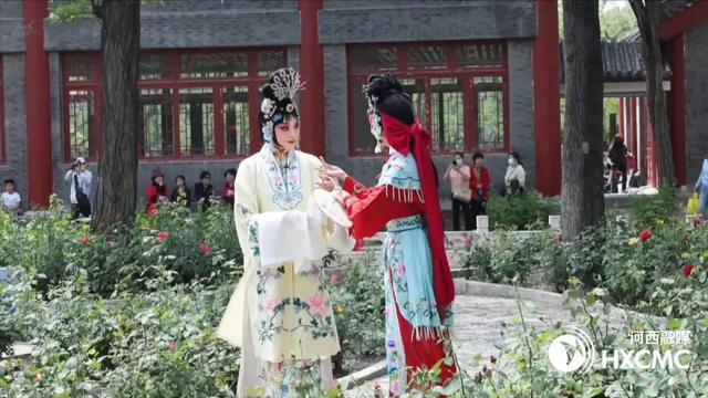 【何以中国】织密“诗与远方” 河西区文旅商融合绘就民生新图景
