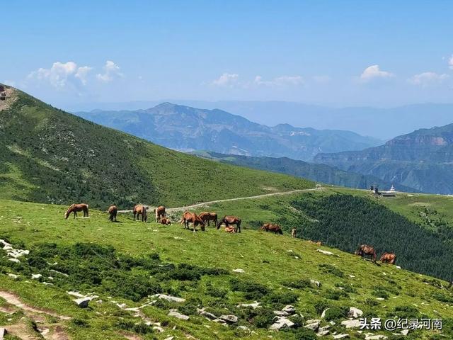 信阳：大别山干部成长的摇篮与自然人文的瑰宝