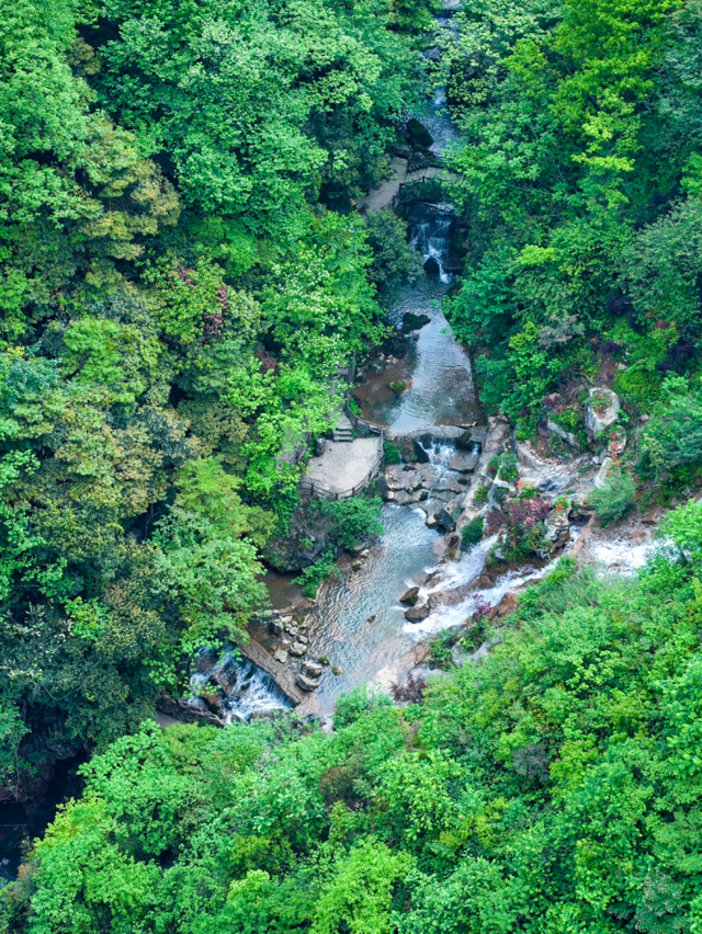邛崃秋假放大招！这些景区免门票啦，亲子错峰游直接冲