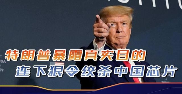 最后10天，轮到中方杀鸡儆猴，荷兰刚抢实控权，芯片供应突然中断