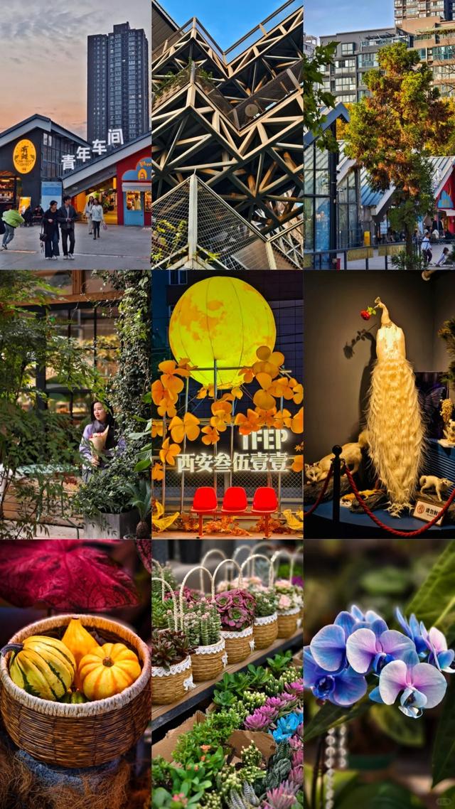 西安周末一日游——初冬9个免费又好玩遛娃、打卡宝藏地~~