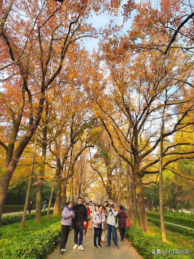 最美石象路，我来咯