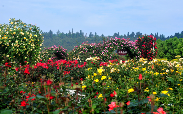 免票景区再增加！四川景区福利活动最新汇总→
