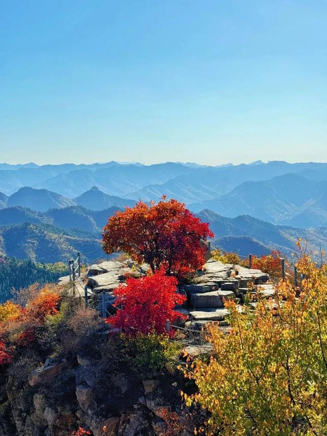 《山东红叶观赏地图》.PDF