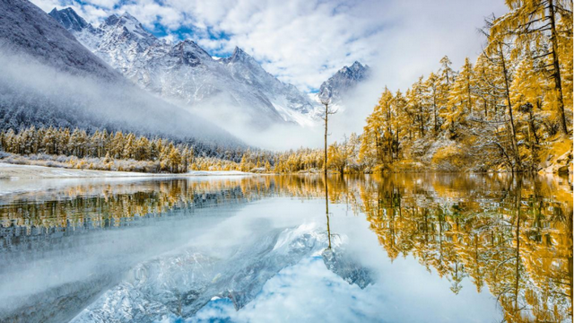 理县招商引资暨文旅资源推介会在蓉启幕