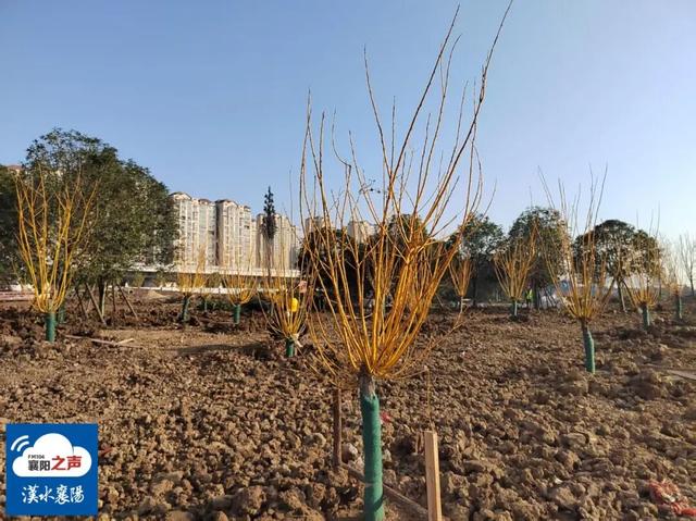 春节开放！襄阳规模最大自然湖泊公园……