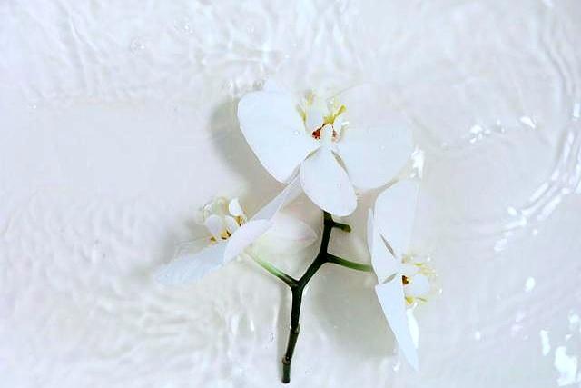 和女人断联后，多半是以下几种情况，很准！