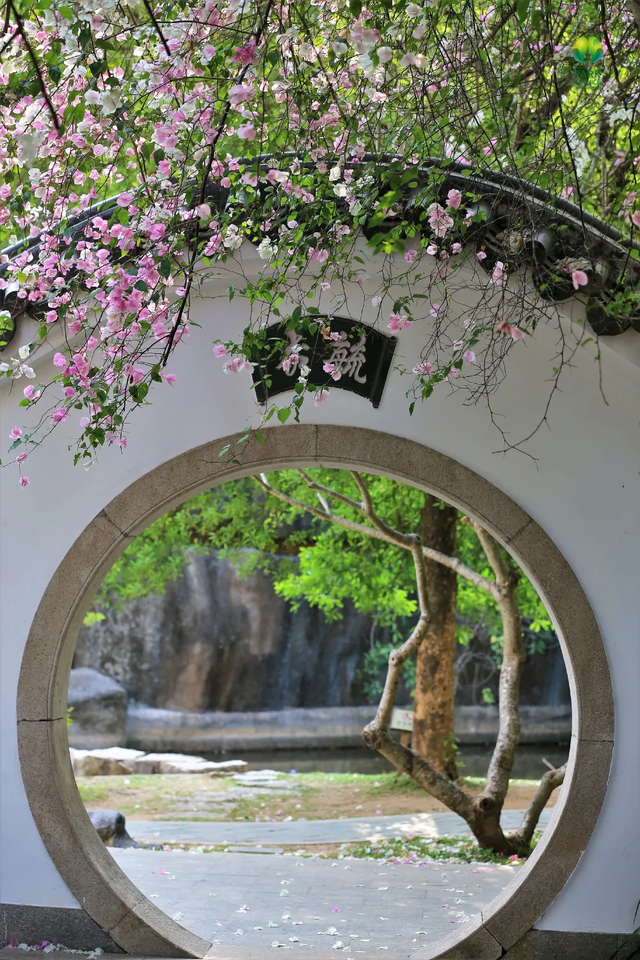 最近，不少深圳人都在捡！发图狂晒战绩，“有一种寻宝的感觉”