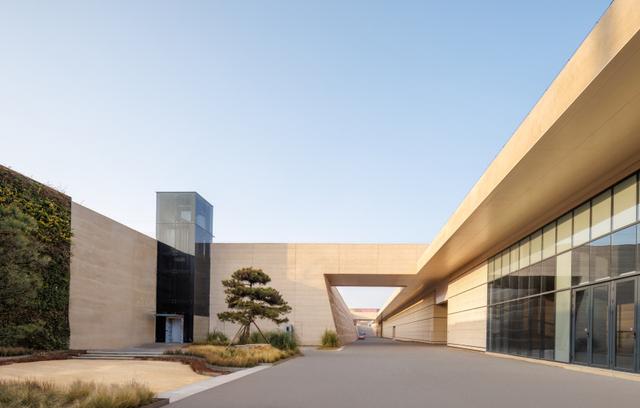 从“考古现场”到“可触可感”，大河村国家考古遗址公园12月6日12点正式开园