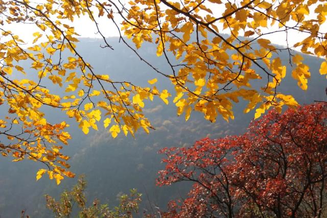 致敬时代记录者 ┃中国记者节熊耳山专属邀约