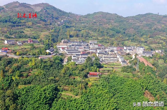 走过这条公路吗？宁波最美秋色路，又到绚烂时