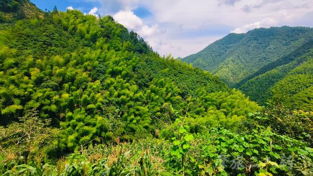 皖浙摩旅二人转——谷丰村篇