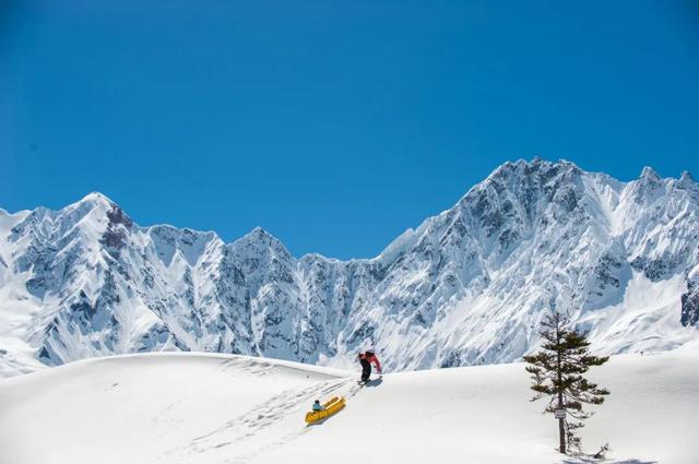 别再只盯着桃花了！林芝的雪山湖泊春天一样封神