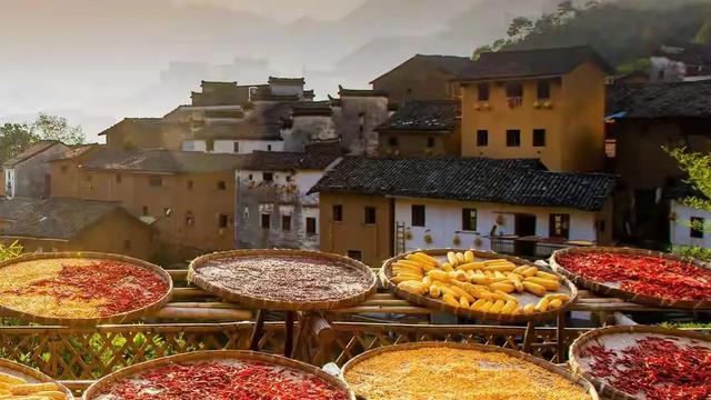 《土楼阳产秋晒》/郭兴华