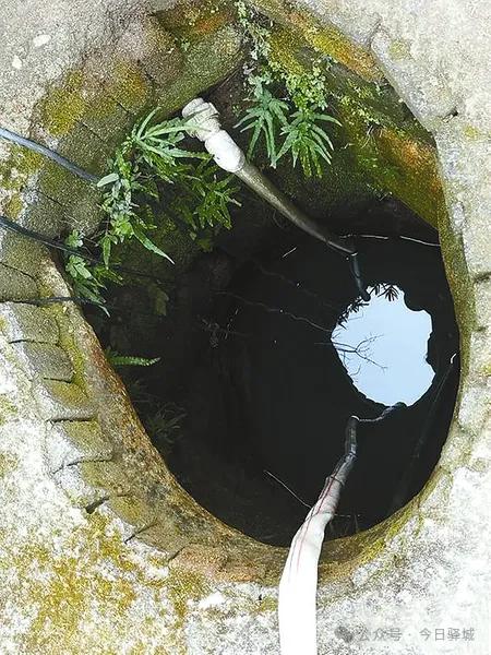 蚁蜂镇：山水灵韵藏传奇