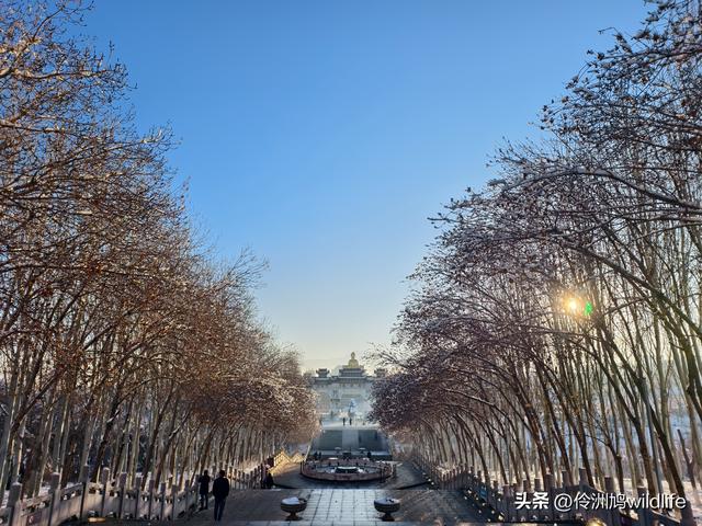 新疆乌鲁木齐红光山大佛寺