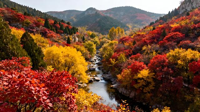 趵突泉头枫燃赤，灵岩寺畔杏堆金 —— 济南秋日行吟录