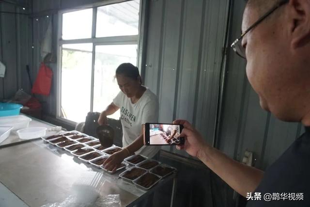 一天收入7万多元！青岛一对70后夫妇包了110亩地，树上生钱地下生金……“好日子总算来了！”