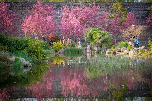 提醒！2025年11月-2026年2月购票游客，即日起免费重游台儿庄已启动