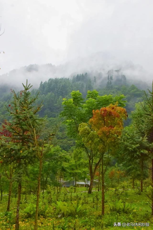 耿达——云如花飘,雾似露润