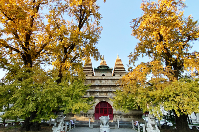 博物馆秋之旅丨博物馆限定！这些古建里的绝美秋色不可错过——