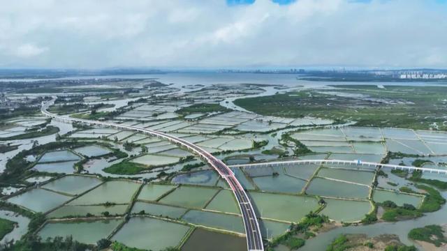 儋州新增新打卡点，这条路正式通车！