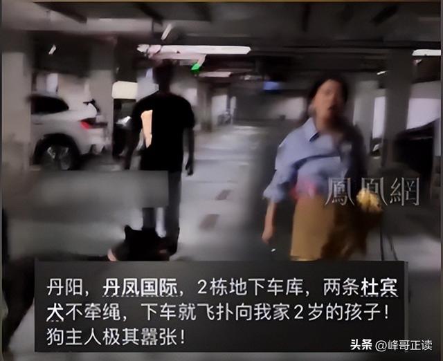 丹阳杜宾犬最新后续：网友不满处理依旧炸锅，养狗人终于登门道歉