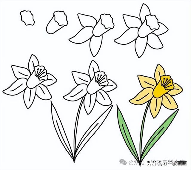 有手就能画！花卉简笔画教程