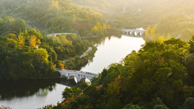 重庆园博园美出新高度！随手一拍都超超超出片→