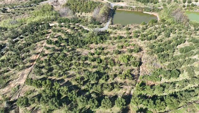 富阳这个网红村，游客车辆从山脚排到村里！