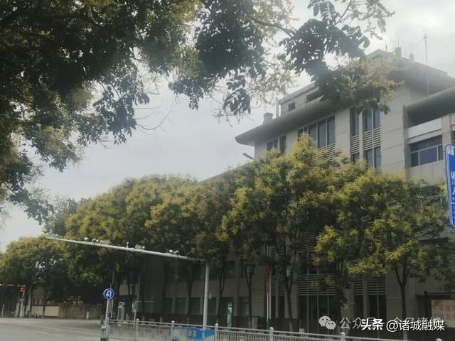 诸城这几处栾花秘境，承包了整个秋天的浪漫​
