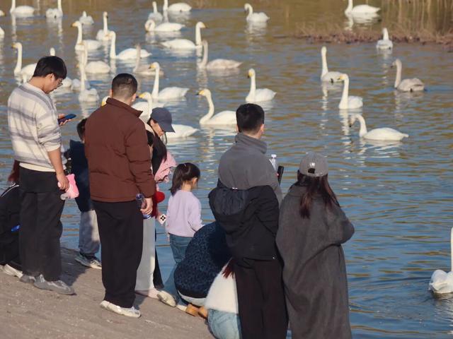 冬日周六晴好，邂逅热闹苍龙湖