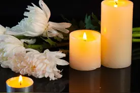 “斯文扫地”的路翎图片