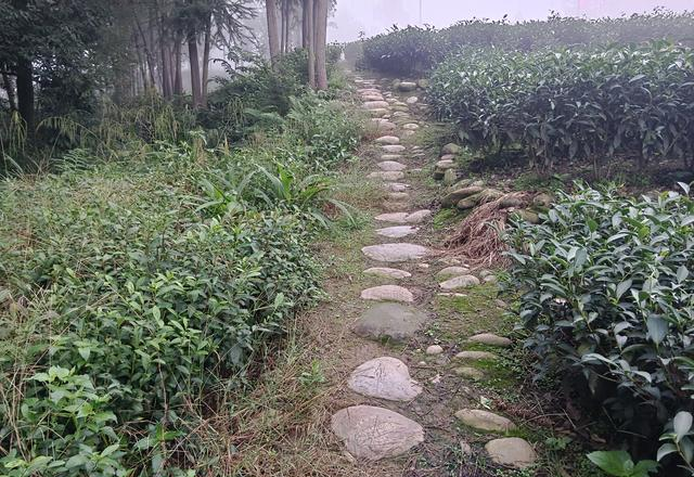 在天地间感悟人生，想法一串接一串，再给大家说说电瓶车保险的事