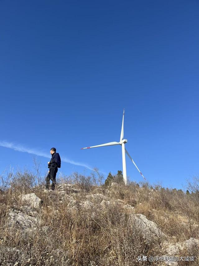 游赏过九鼎山后，我又跑到一户院里“强买”了大爷种在路边的白菜